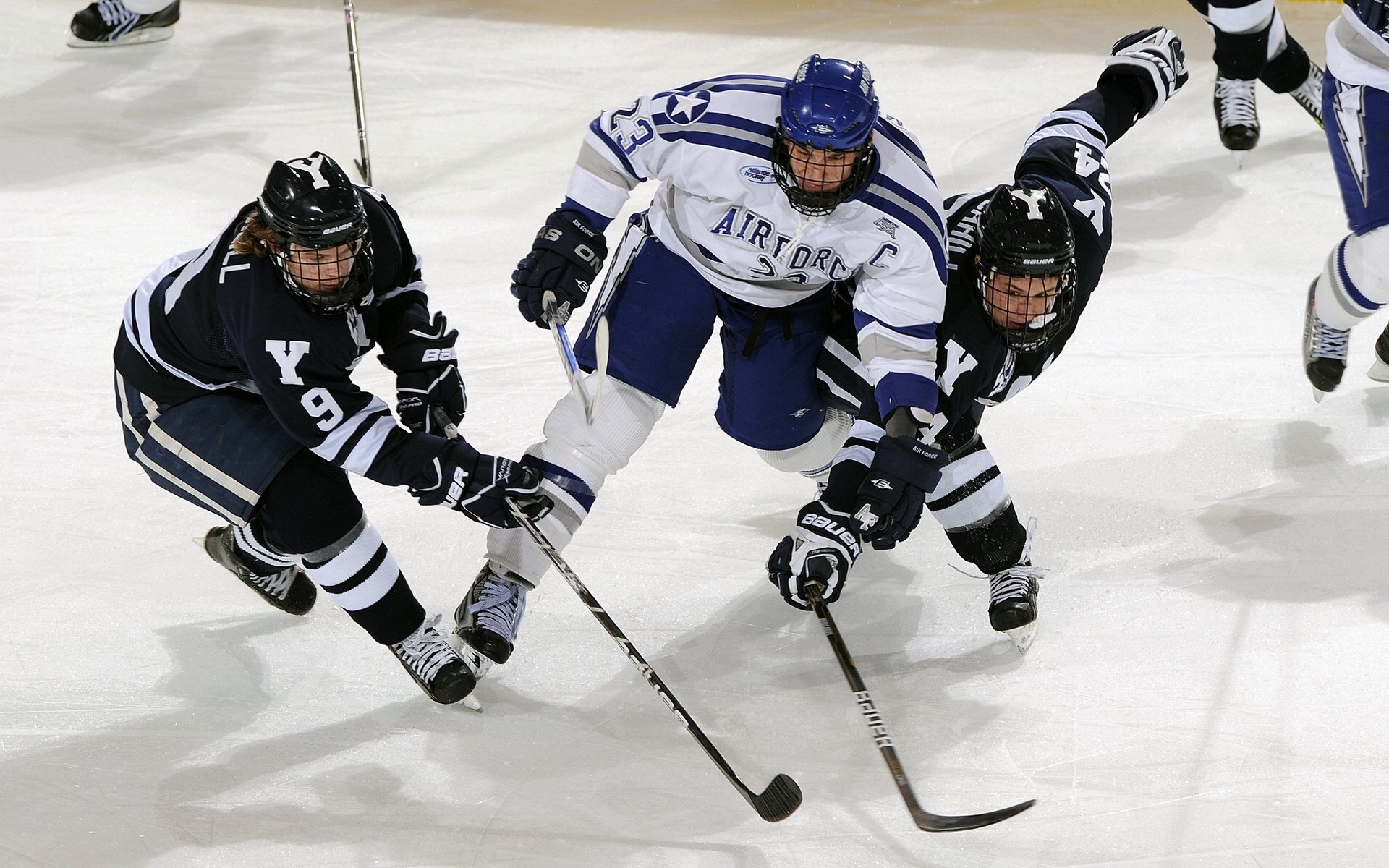 美国马术协会授予凯尔·库克“年度最佳障碍赛骑手”称号。