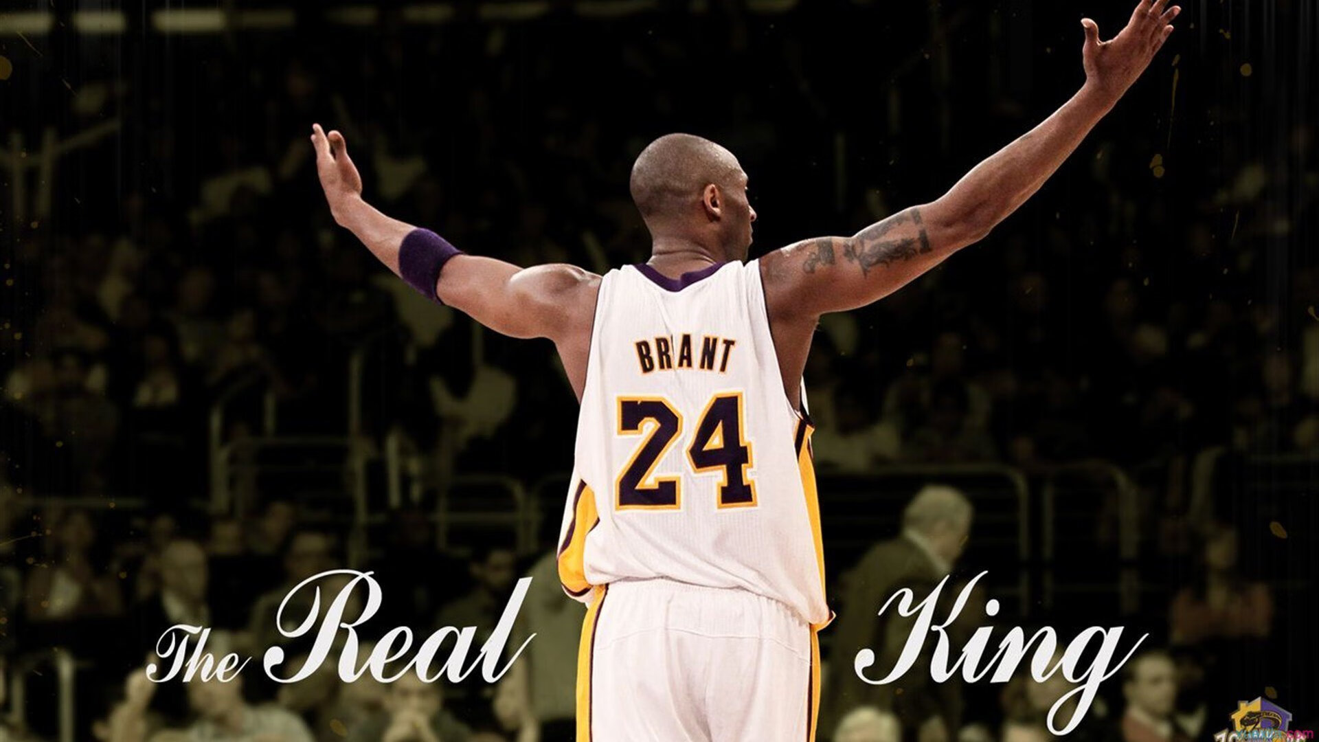 联盟是否应设立球员母校回访计划