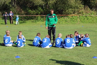 九游（jiuyou.com）游戏-瑞典团队战术：从快攻到慢球的多变打法，瑞典几分钟进球